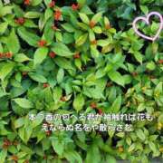 ヒメ日記 2025/11/14 19:19 投稿 下條(しもじょう) 人妻出逢い会 百合の園 品川店