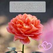 下條(しもじょう) お詫び… 人妻出逢い会 百合の園 品川店