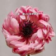 ヒメ日記 2025/12/23 13:56 投稿 下條(しもじょう) 人妻出逢い会 百合の園 品川店