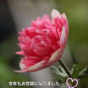 ヒメ日記 2025/12/31 06:36 投稿 下條(しもじょう) 人妻出逢い会 百合の園 品川店