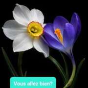 下條(しもじょう) 寒い朝ですね！ 人妻出逢い会 百合の園 品川店