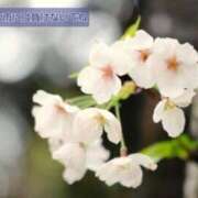 下條(しもじょう) エープリルフール 人妻出逢い会 百合の園 品川店