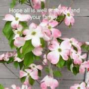 下條(しもじょう) 素敵に変身☆ 人妻出逢い会 百合の園 品川店