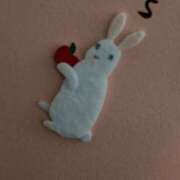 めぐり 🐰🐇 ハピネス東京