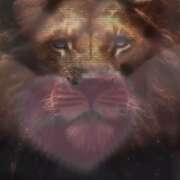 ヒメ日記 2026/01/10 11:17 投稿 あんじゅ 西船人妻花壇