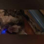 ヒメ日記 2026/02/22 10:09 投稿 あんじゅ 西船人妻花壇