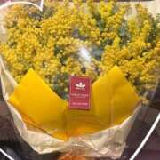 ヒメ日記 2026/03/08 11:01 投稿 菊池みさき イエスグループ熊本 華女