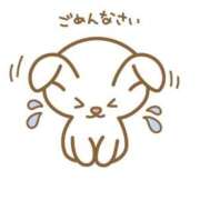 ヒメ日記 2026/04/08 09:32 投稿 菊池みさき イエスグループ熊本 華女