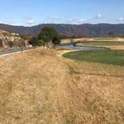 ヒメ日記 2025/12/02 07:35 投稿 こはる 熟女家 東大阪店（布施・長田）