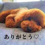 ヒメ日記 2025/12/13 23:55 投稿 こはる 熟女家 東大阪店（布施・長田）