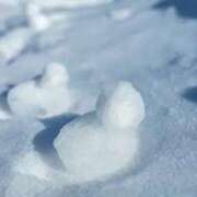 ヒメ日記 2025/12/26 07:15 投稿 こはる 熟女家 東大阪店（布施・長田）