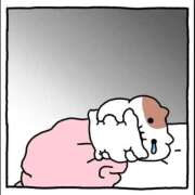 ヒメ日記 2025/11/12 13:49 投稿 あむ エデンR