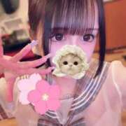 ヒメ日記 2026/04/17 06:23 投稿 あむ エデンR