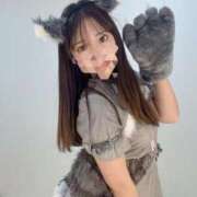 ヒメ日記 2025/11/14 13:33 投稿 OTOHA（おとは） UTAKATA