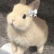 OTOHA（おとは） いまいるよ！ UTAKATA