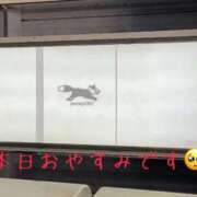 ヒメ日記 2025/11/02 09:28 投稿 あんじゅ 川崎・東横人妻城