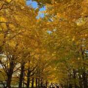 ヒメ日記 2025/11/19 07:33 投稿 あんじゅ 川崎・東横人妻城