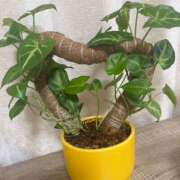 ヒメ日記 2025/11/01 14:29 投稿 わかな 恋愛生欲情の扉