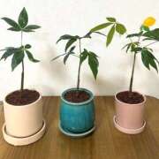 ヒメ日記 2025/11/03 16:39 投稿 わかな 恋愛生欲情の扉