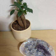 ヒメ日記 2025/11/17 19:39 投稿 わかな 恋愛生欲情の扉