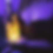 ヒメ日記 2025/12/21 07:02 投稿 ゆき アレグリア