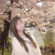 ヒメ日記 2026/04/10 19:53 投稿 ゆき アレグリア