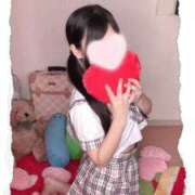 ヒメ日記 2025/10/17 09:39 投稿 りんご 子猫カフェ 小倉店