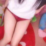 ヒメ日記 2025/11/07 14:45 投稿 りんご 子猫カフェ 小倉店