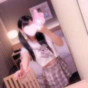 ヒメ日記 2025/11/12 23:33 投稿 りんご 子猫カフェ 小倉店