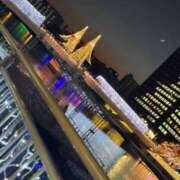 ヒメ日記 2025/12/04 23:25 投稿 りんご 子猫カフェ 小倉店