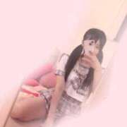 ヒメ日記 2025/12/12 14:45 投稿 りんご 子猫カフェ 小倉店