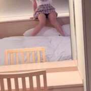 ヒメ日記 2026/02/12 15:02 投稿 りんご 子猫カフェ 小倉店