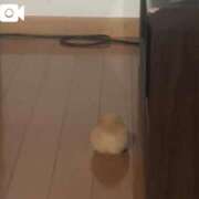 ヒメ日記 2025/11/14 08:23 投稿 りあ【特価】 恵比寿コレクション　久留米本店