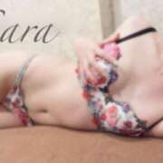 ヒメ日記 2025/12/29 17:00 投稿 サラ OLの品格 クラブアッシュ