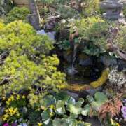 ヒメ日記 2026/03/17 19:00 投稿 サラ OLの品格 クラブアッシュ