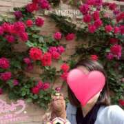 ヒメ日記 2025/10/19 12:15 投稿 みずほ 丸妻 新横浜店