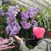 ヒメ日記 2025/10/23 11:08 投稿 みずほ 丸妻 新横浜店