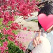 ヒメ日記 2025/11/02 06:38 投稿 みずほ 丸妻 新横浜店