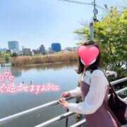 ヒメ日記 2025/11/11 12:06 投稿 みずほ 丸妻 新横浜店