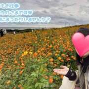 ヒメ日記 2025/11/13 15:04 投稿 みずほ 丸妻 新横浜店