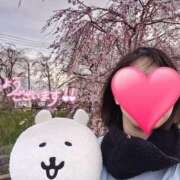 ヒメ日記 2025/11/19 12:14 投稿 みずほ 丸妻 新横浜店