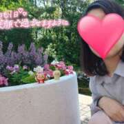 ヒメ日記 2026/01/14 11:14 投稿 みずほ 丸妻 新横浜店