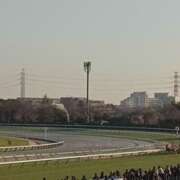 ヒメ日記 2026/01/18 13:09 投稿 みずほ 丸妻 新横浜店