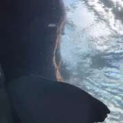 ヒメ日記 2026/01/19 14:02 投稿 みずほ 丸妻 新横浜店