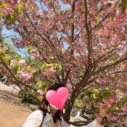 ヒメ日記 2026/03/27 12:23 投稿 みずほ 丸妻 新横浜店