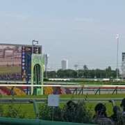 ヒメ日記 2026/04/19 11:15 投稿 みずほ 丸妻 新横浜店