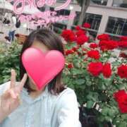 ヒメ日記 2026/05/17 12:23 投稿 みずほ 丸妻 新横浜店