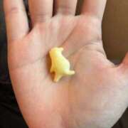 ヒメ日記 2026/04/06 12:43 投稿 おとぎ 極楽城(ゴクラクジョウ)