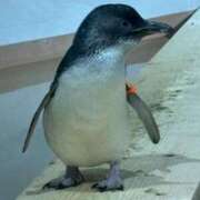 ヒメ日記 2026/04/08 10:48 投稿 おとぎ 極楽城(ゴクラクジョウ)