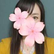 ヒメ日記 2025/12/23 11:24 投稿 もこ 奥さまさくら京橋店